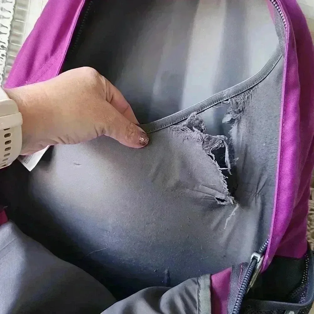 North Face Jester II‎ Backpack Purple